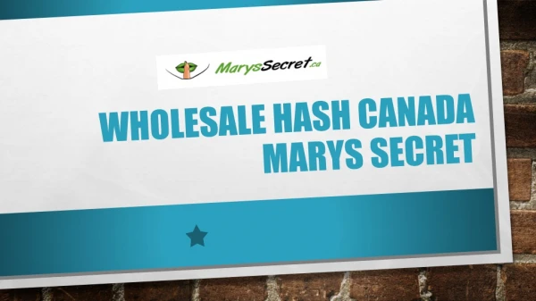 Wholesale Hash Canada- Marys Secret