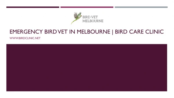 Emergency Bird Vet in Melbourne | Bird Care Clinic - birdclinic.net