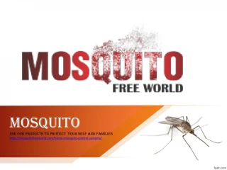 Home Mosquito Control|Home Mosquito Control Systems | Mosquitofreeworld - slide 1