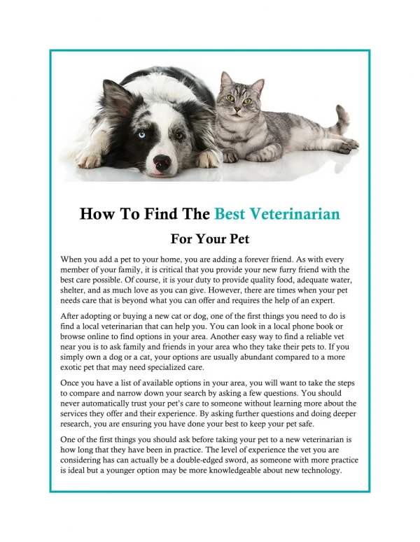 How to Find the Best Veterinarian for Your Pet