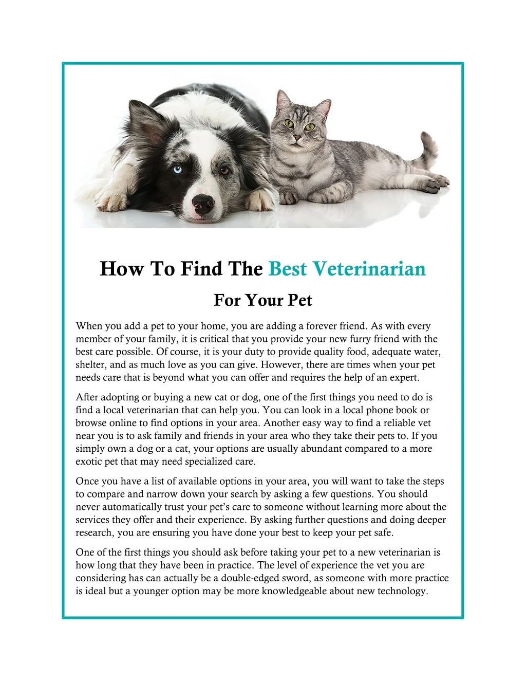 how to find the best veterinarian