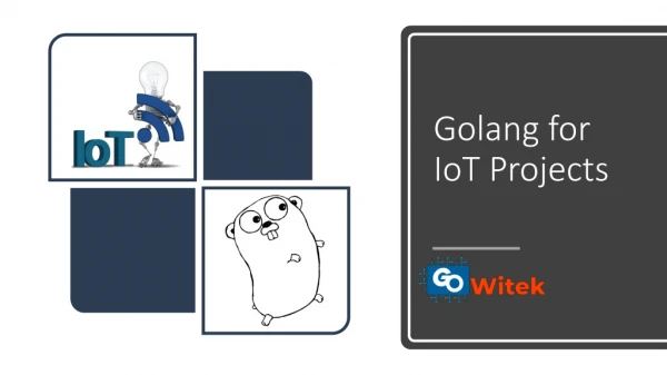 Golang for IoT