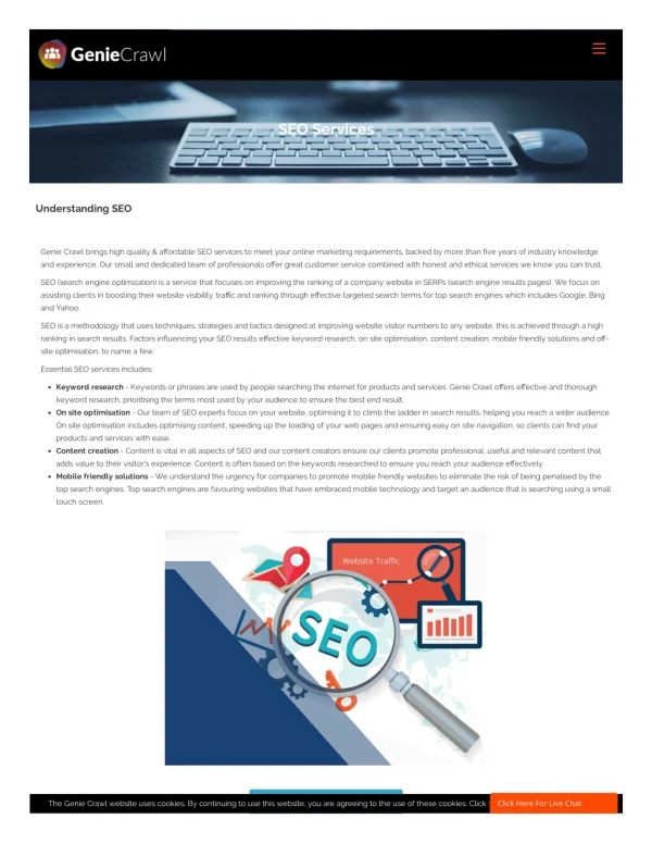Best SEO & Internet Marketing Services by Geniecrawl