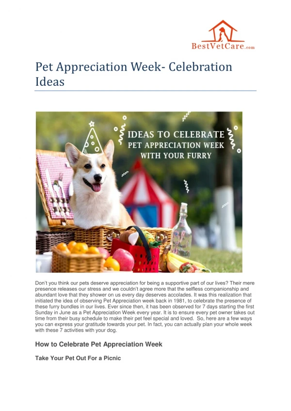 Pet Appreciation Week- Celebration Ideas