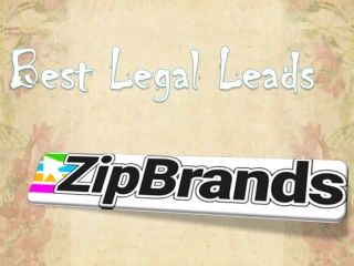 Best Legal Leads- ZipBrands - slide 1