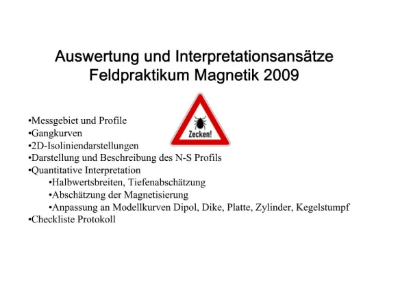 Auswertung und Interpretationsans tze Feldpraktikum Magnetik 2009