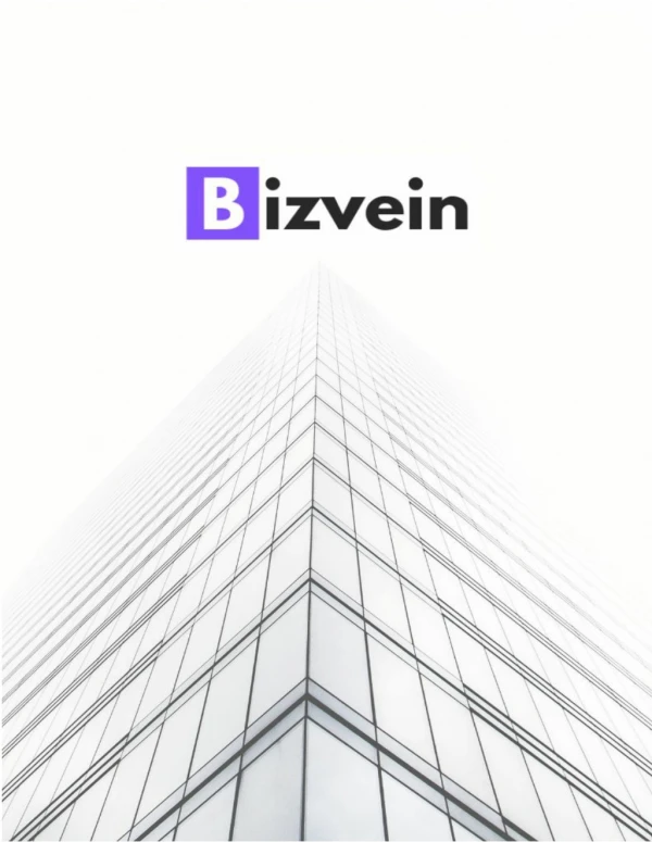 Digital Marketing Agency Brochure - Bizvein