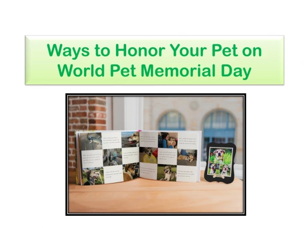 Ways to Honor Your Pet on World Pet Memorial Day
