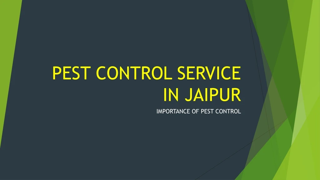 pest control service in jaipur
