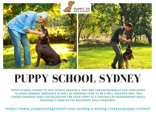 Puppy School Sydney