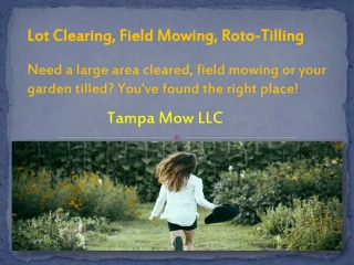 Lot Clearing Tampa - Tampa Lawn Mowing