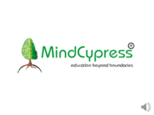 Online Financial Modelling Course !! MindCypress