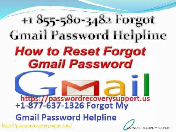 Forgot Gmail Password Helpline Number