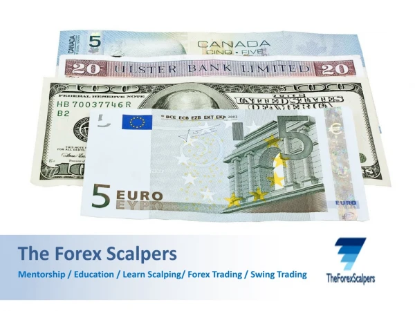 How To Learn To Trade The Forex Markets - The Forex Scalpers