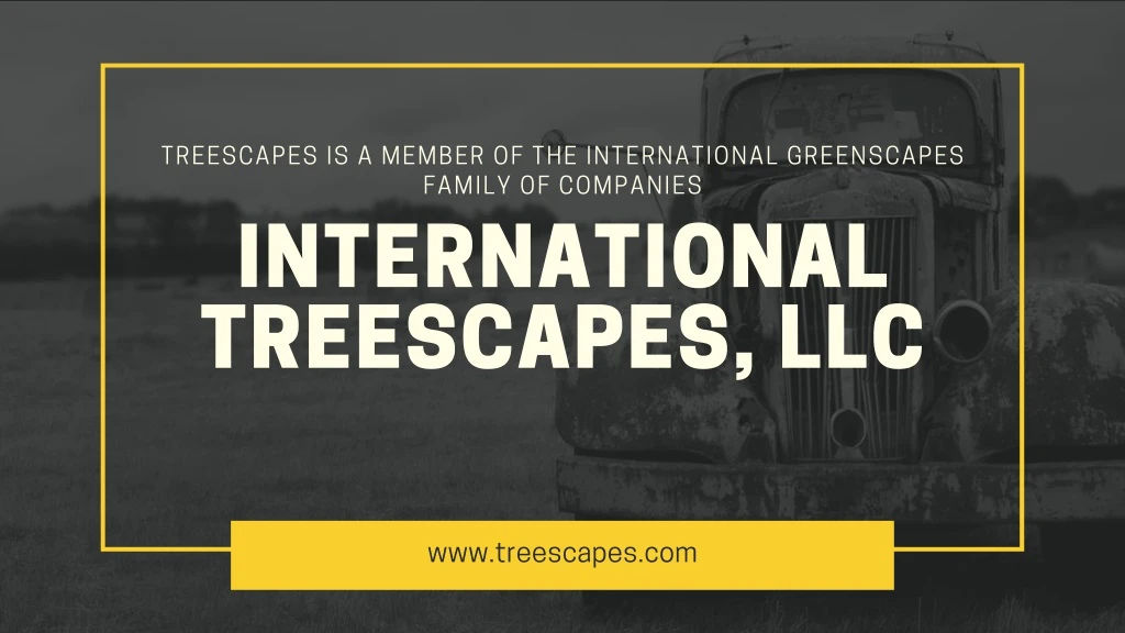 treescapes is a member of the international