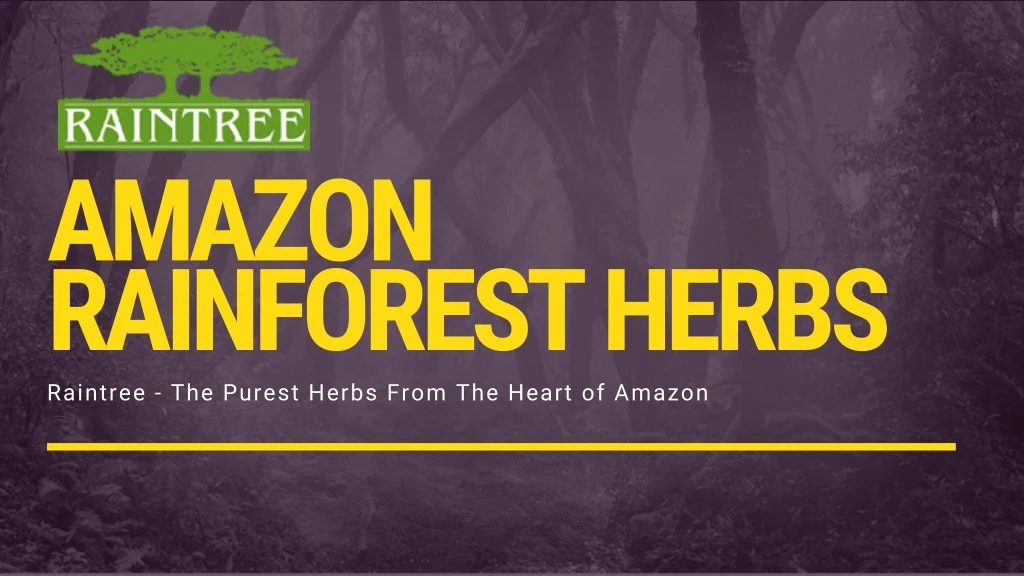 amazon rainforest herbs raintree the purest herbs