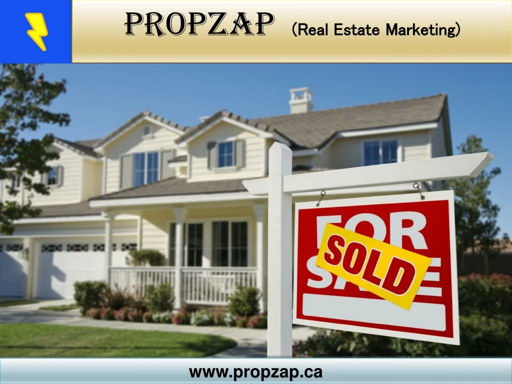 propzap real estate marketing