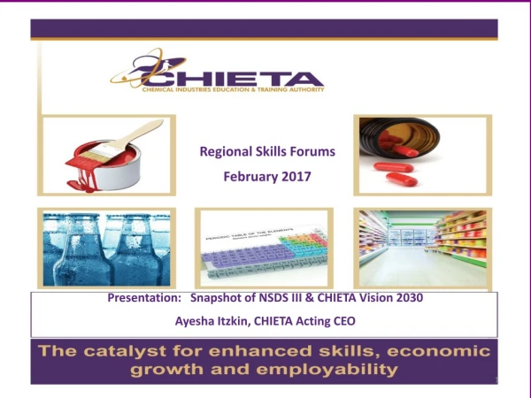 Presentation: Snapshot of NSDS III &amp; CHIETA Vision 2030 Ayesha Itzkin, CHIETA Acting CEO