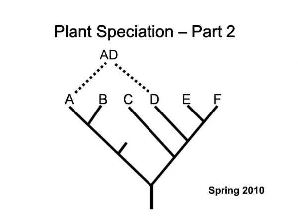 Plant Speciation Part 2