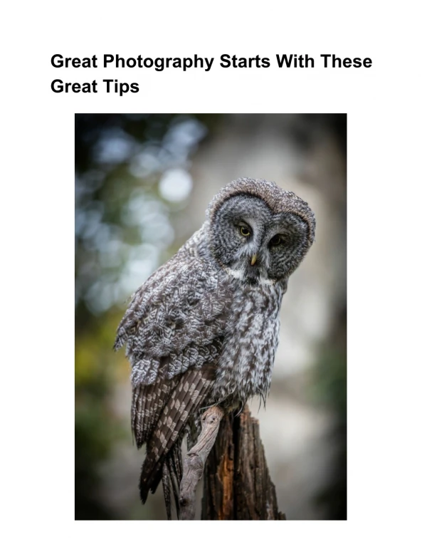 Great Photography Starts With These Great Tips