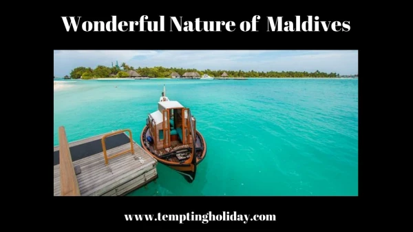 Plan Vacation Trip to the Maldives with Family