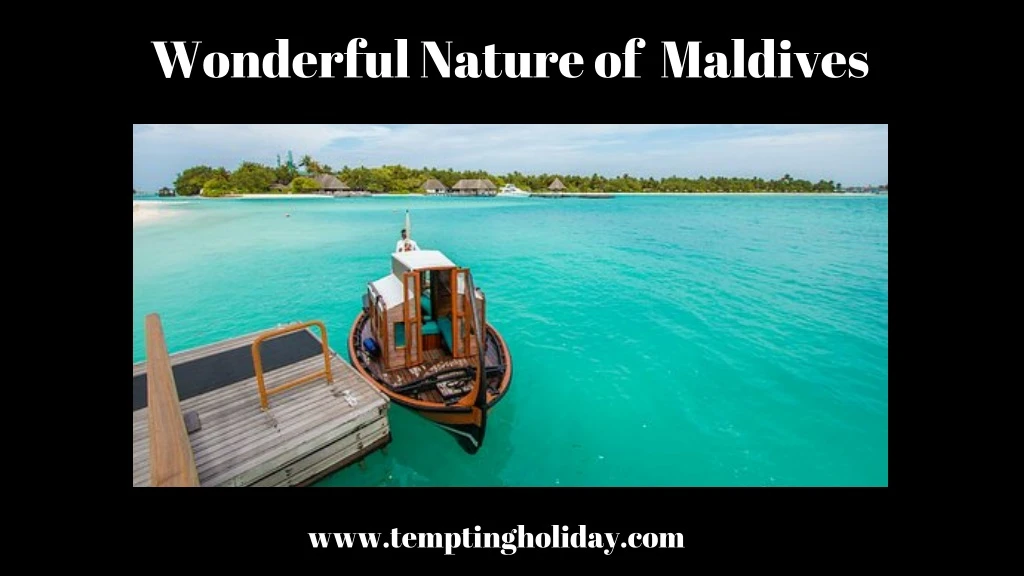 wonderful nature of maldives