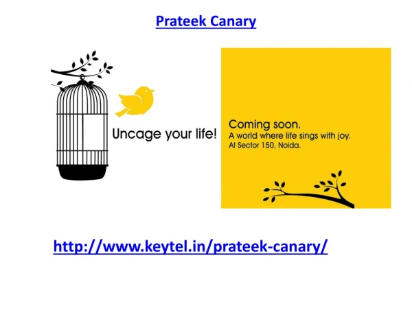 Prateek Canary Noida Sector 150