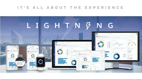 Salesforce Lightning Professional Services