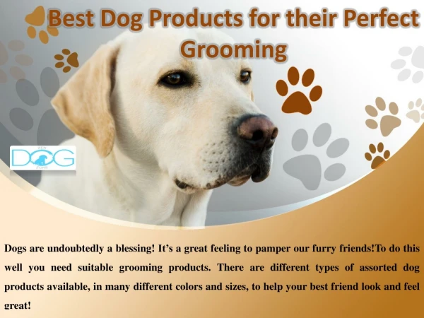 Best Dog Products for their Perfect Grooming