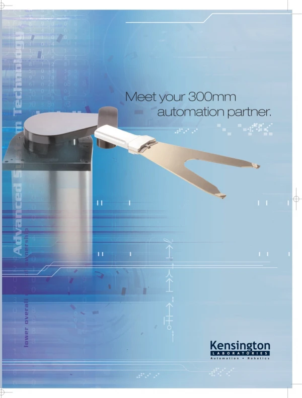 Meet your 300mm Automation Partner