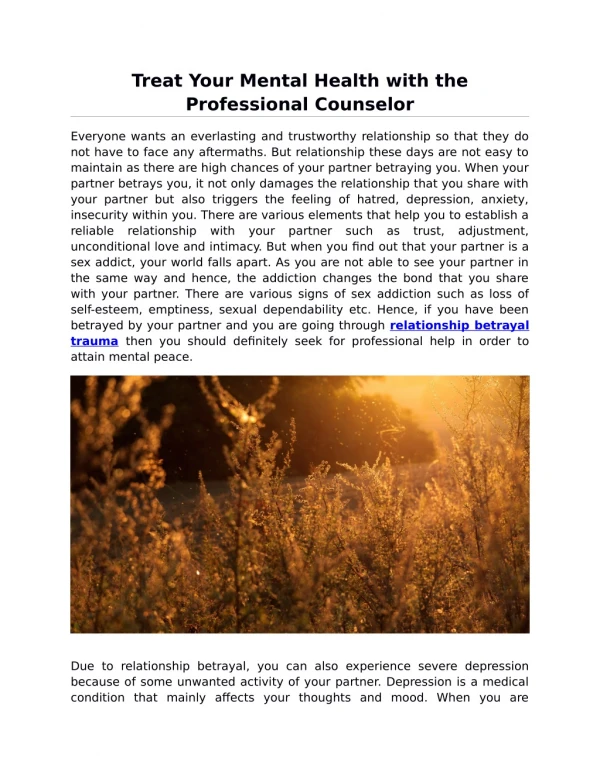 Treat Your Mental Health with the Professional Counselor