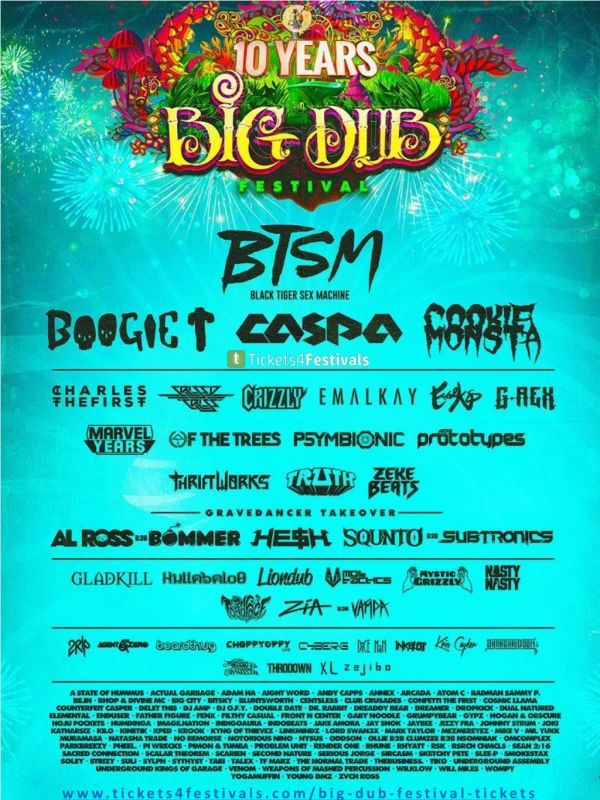 Big Dub Festival 2019 Lineup - Jul 24 - 28, 2019