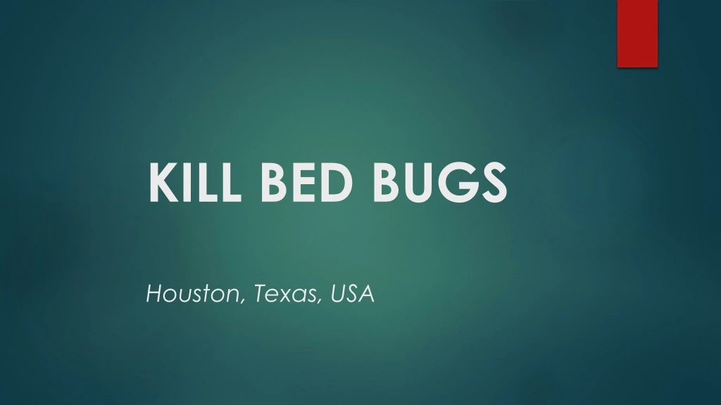 kill bed bugs houston texas usa