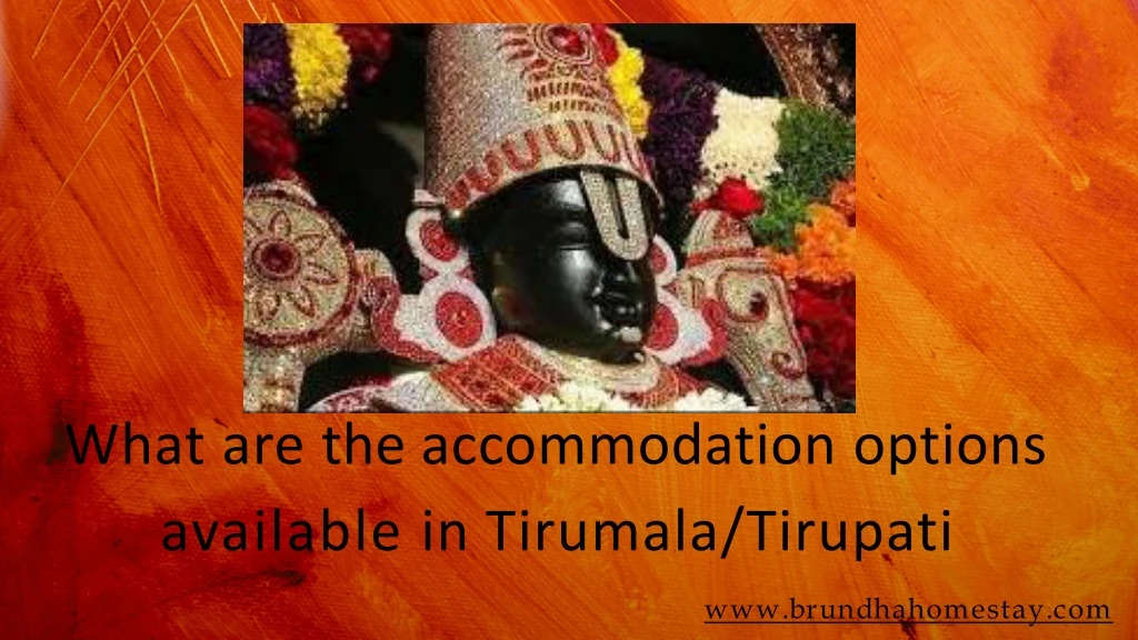 what are the accommodation options available
