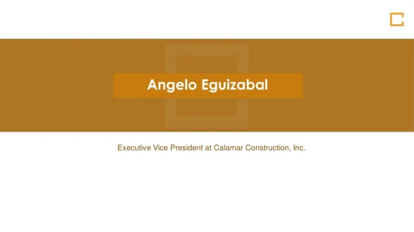 Angelo Eguizabal - Worked at Watts Company as a General Manager