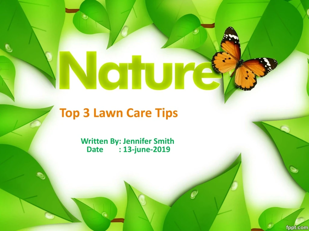 top 3 lawn care tips