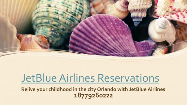 Relive your childhood in the city Orlando with JetBlue Airlines