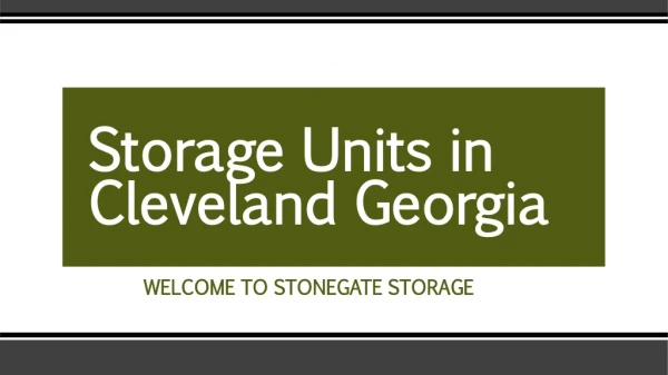 Storage Units in Cleveland Georgia
