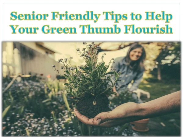 Senior Friendly Tips to Help Your Green Thumb Flourish