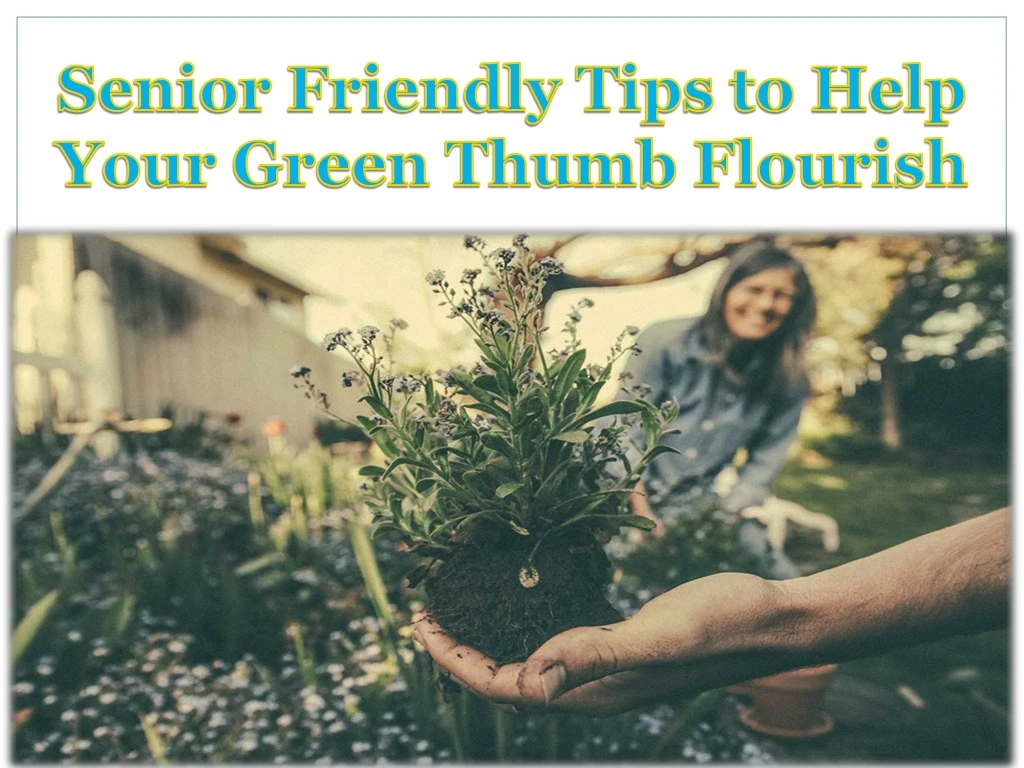 senior friendly tips to help your green thumb flourish