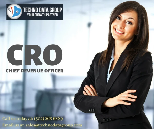 CRO Email list & Mailing Lists | Chief Revenue Officer Email Lists in USA