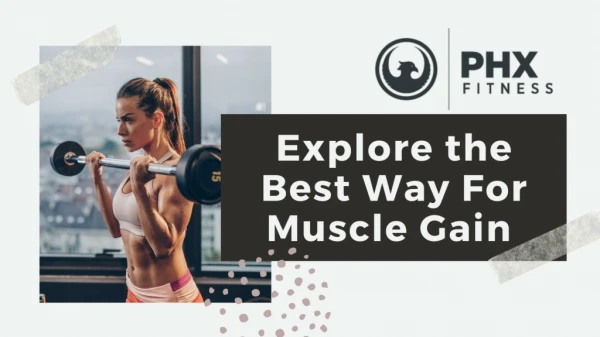 Find the Best Workout Plans to Build Muscles