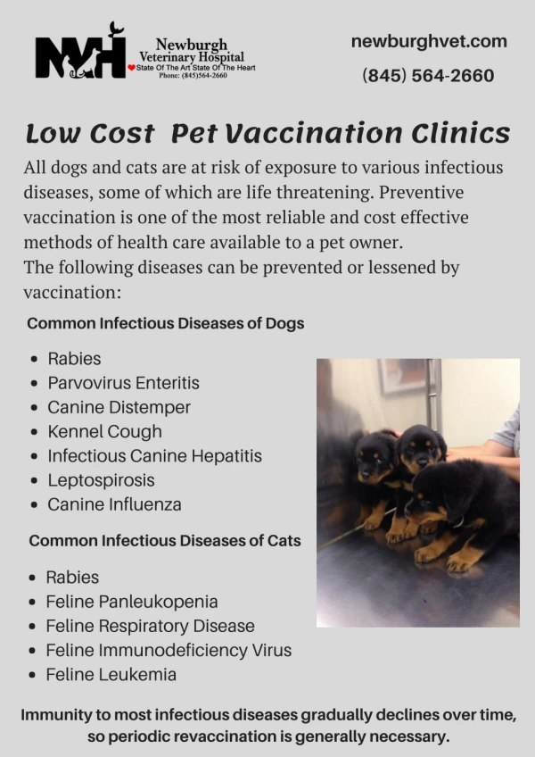 Low Cost Mobile Pet Vaccination Clinics - Veterinarian Newburgh