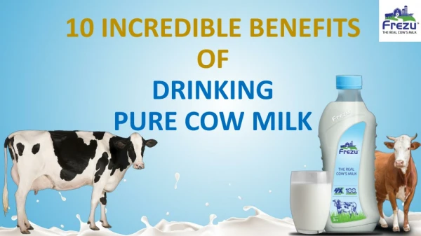 10 incredible benefits of Drinking Pure Cow Milk