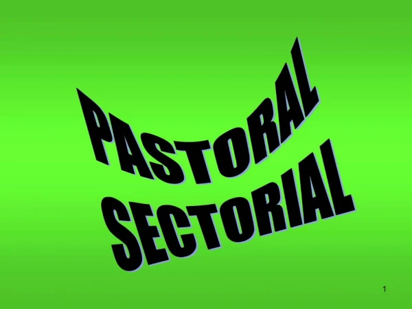 PASTORAL SECTORIAL