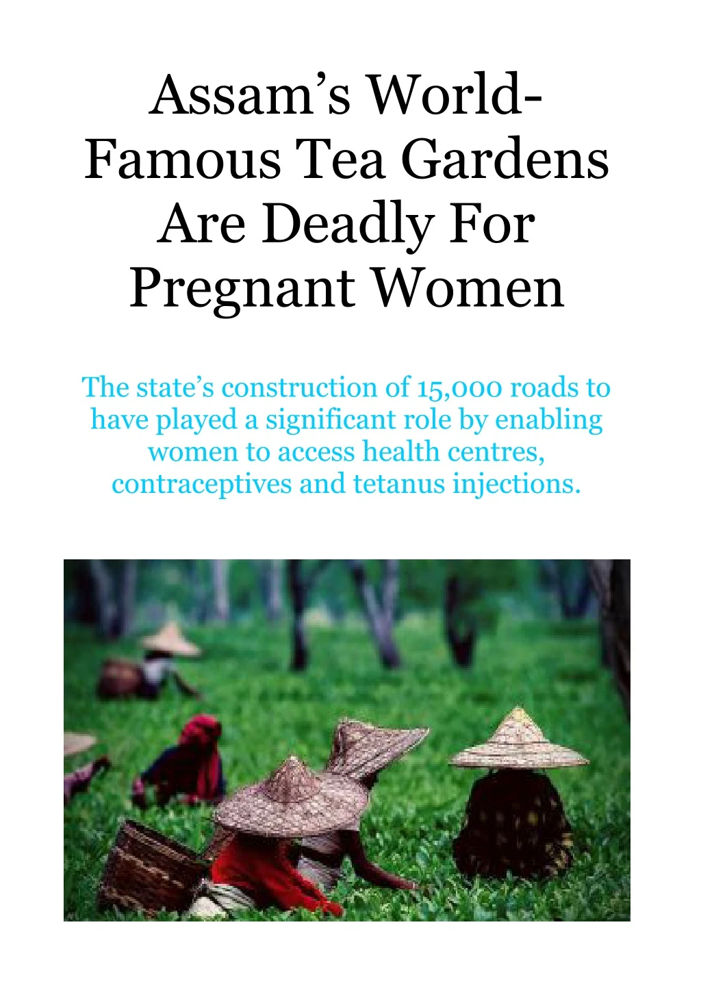 assam s world famous tea gardens are deadly