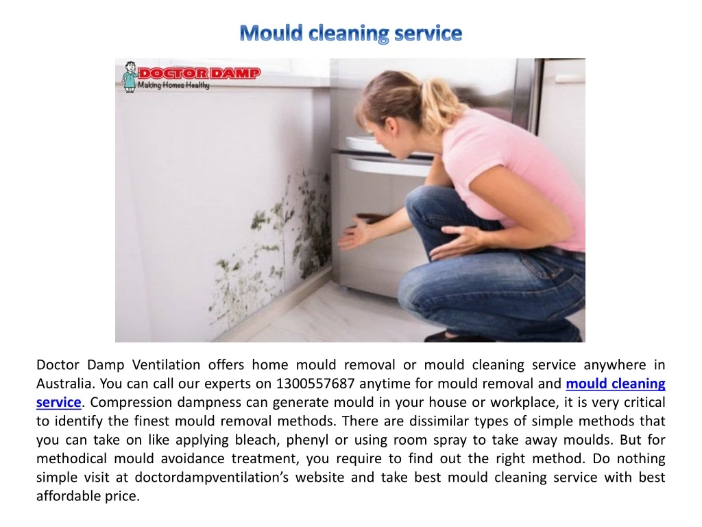doctor damp ventilation offers home mould removal