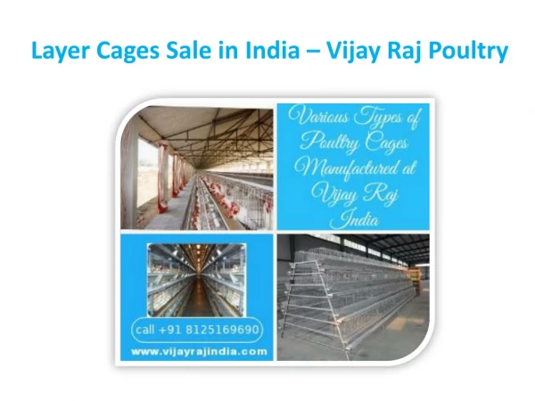 Layer Cages Sale in India – Vijay Raj Poultry
