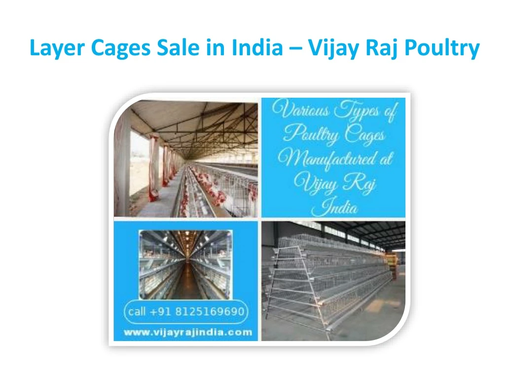 layer cages sale in india vijay raj poultry
