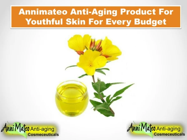 Annimateo Anti-Aging Product For Youthful Skin For Every Budget